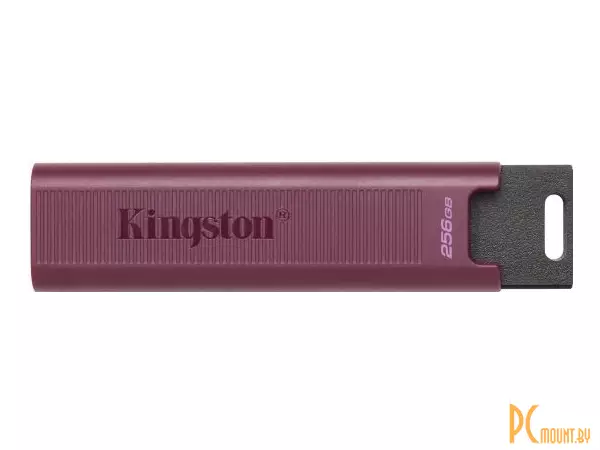 USB память Kingston DataTraveler Max 256GB () (USB 3.2 Type-C) DTMAX/256GB